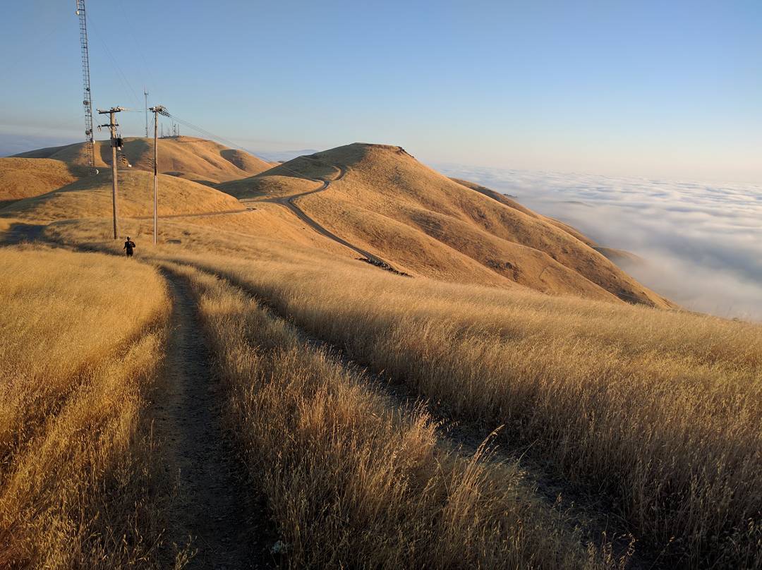 Leaving Monument Peak and heading for --> "Mt EMS" --> then Mt Allison --> Mission Peak. Squint, and look at nine o'clock to find @bhasin and @marckrejci. Such good stuff! #latergram #runwolfpack #runSJ #runlocal #teamrunthebay #seenonmyrun #nofilternecessary