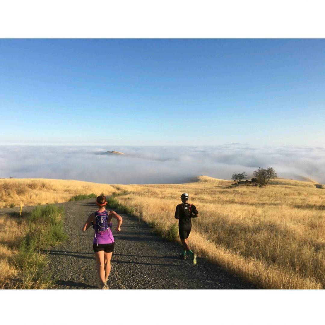 After ascending and descending Monument Peak and then the unnamed "EMS" Peak, we three headed over to run up and down Mount Allison. On our way down, we were treated with this gem of a view of Mission Peak popping up over the fog (look closely). We got over to Mission with juuuuust enough time for a few photos before the fog ate it all up. What places running can take us. Hot damn. [PC: Marc!] #runwolfpack #runlocal #teamrunthebay #runSJ #seenonmyrun #nofilternecessary #fogust #armswingheavilyinfluencedbyalotofstrollerrunning #latergram