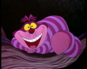 always with the Cheshire