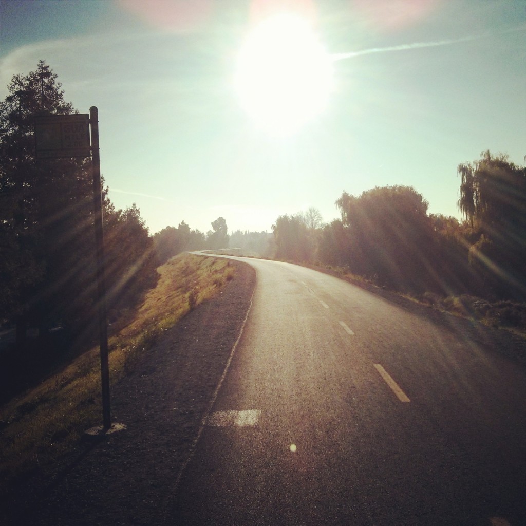 On the Guadalupe River Trail