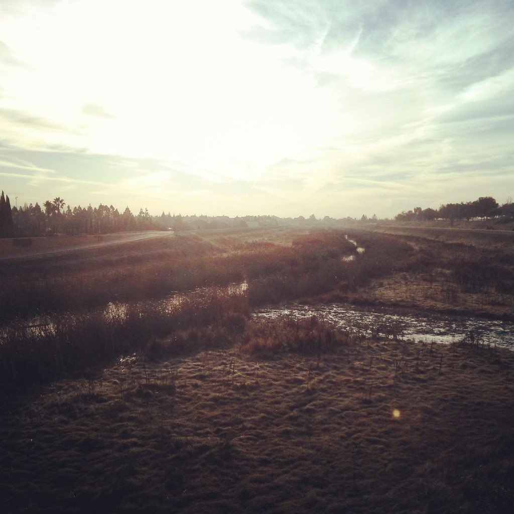 A paved path, a dry riverbed, and a crushed limestone path comprise this section of the GRT