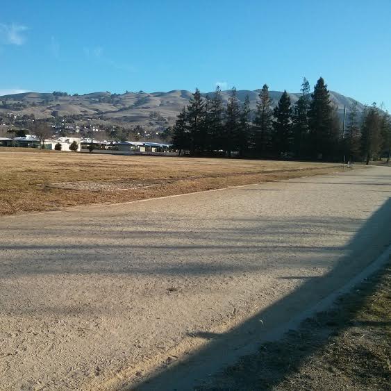 found on my run... a track!