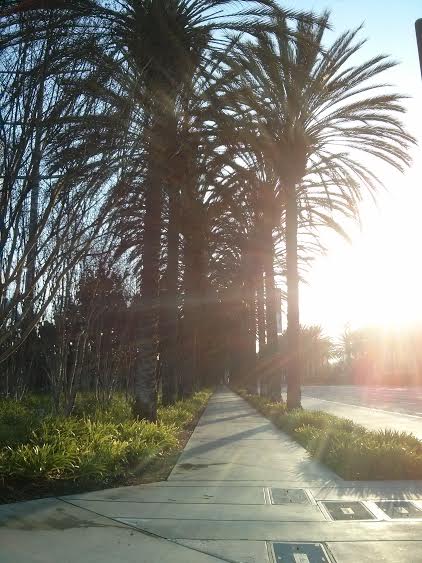 with the sunrise