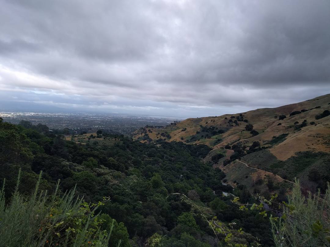 from a recent hilly run through my affectionately-called "secret garden." downtown SJ is in the top left quadrant.