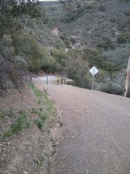Chasing does on a descent in AR. Look closely.