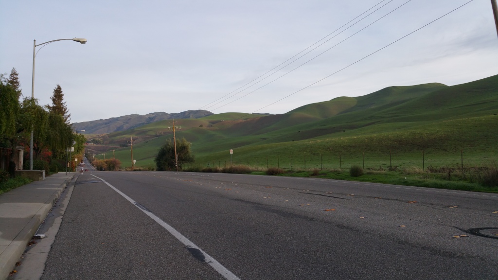 on Piedmont Rd., facing north, in Milpitas [a SJ 'burb]. The hills quickly turned green here after a deluge of rain in the past week. SO. PRETTY.