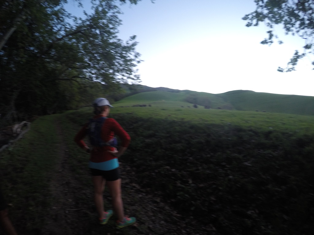 conversely, you can stop and gawk at the huge crowd of wild turkeys you see mid-run. (cred: Saurabh)