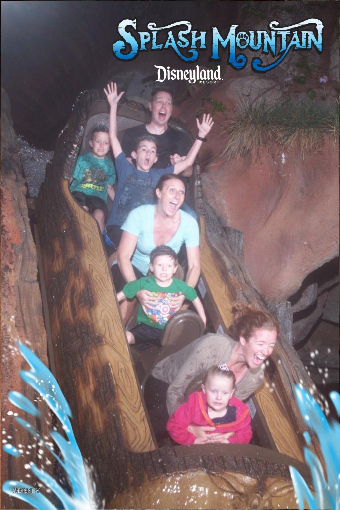 Splash Mountain Tits