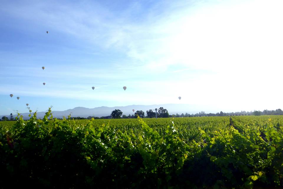 Napa on a Saturday morning! PC: Linh/RA