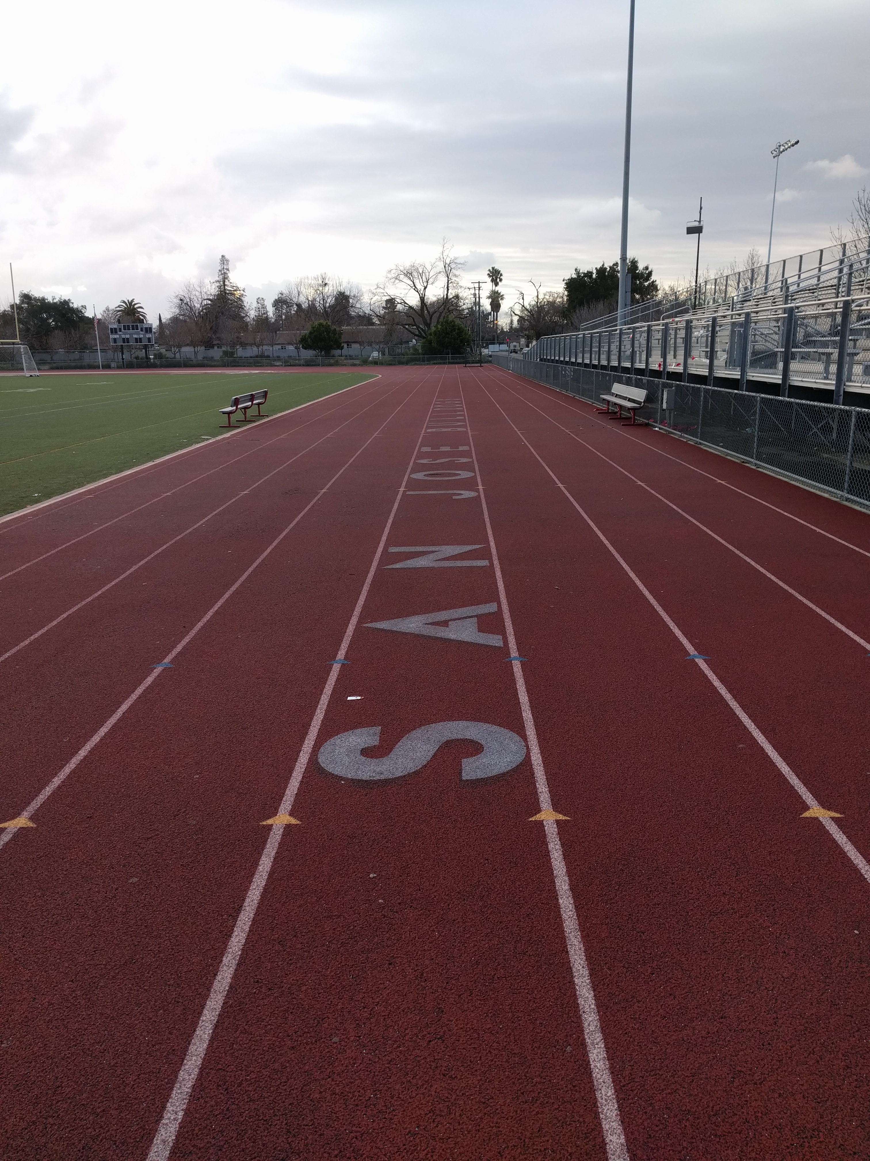 Modesto Marathon training the second bit Running Ruminations