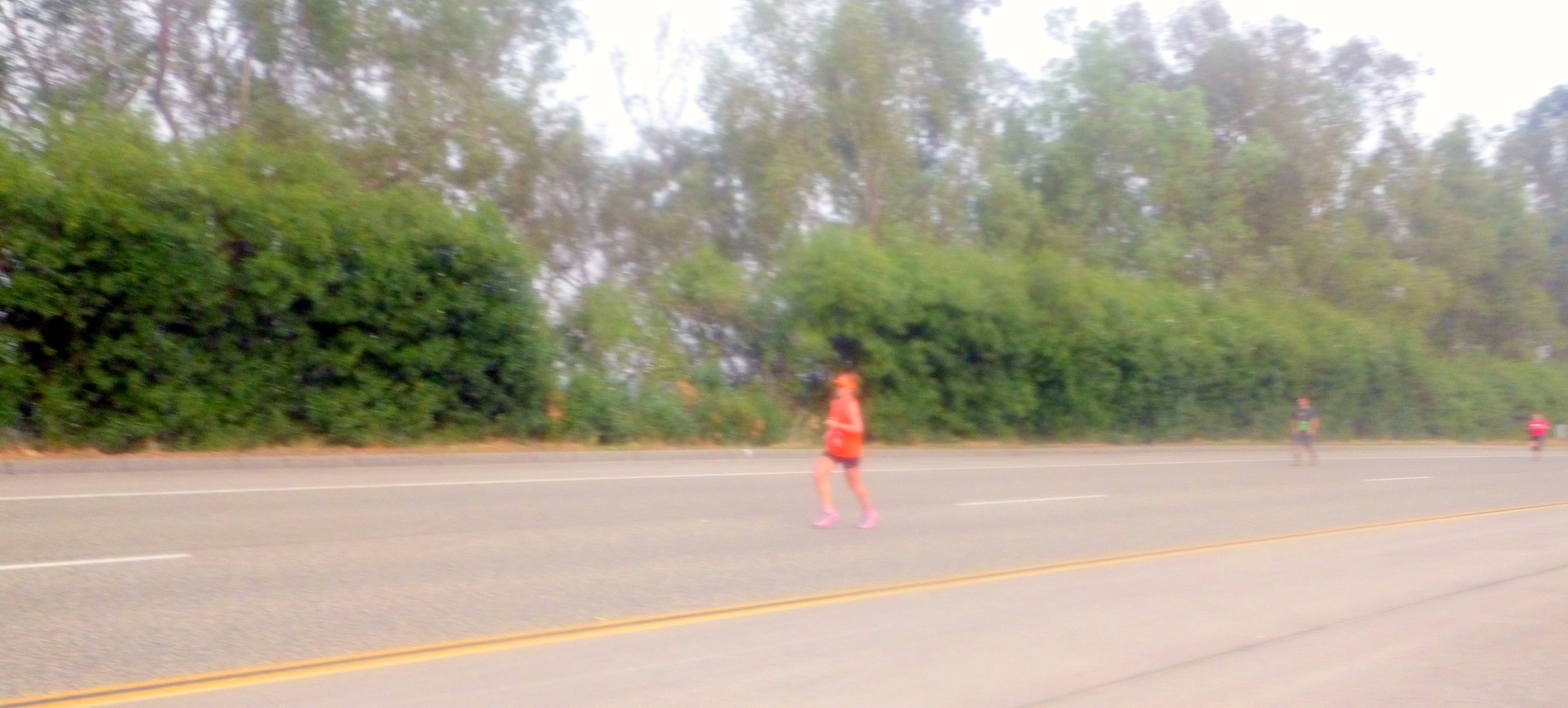 Climbing the only "hill" at TCM at mile 21 and on my own at that point. PC: Linh